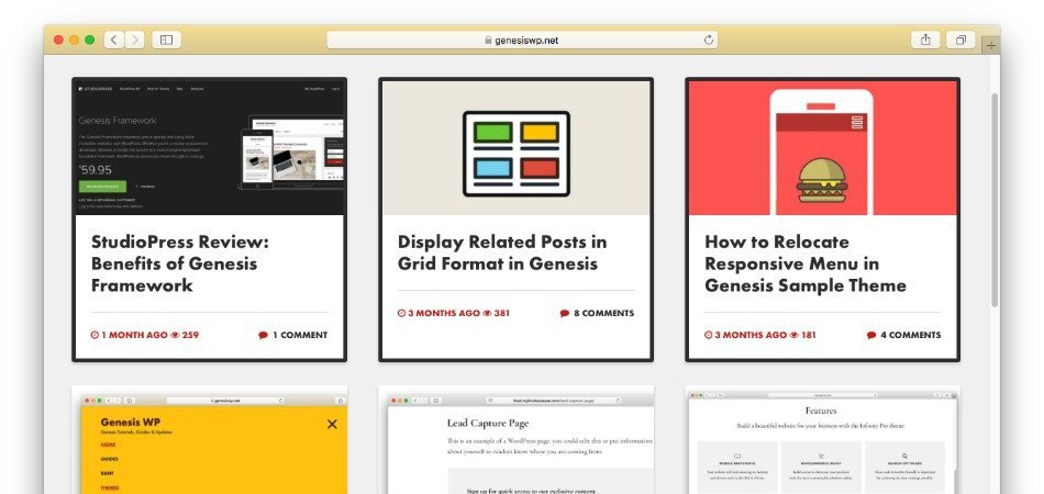 A Few Things to Know about Genesis Starter Theme