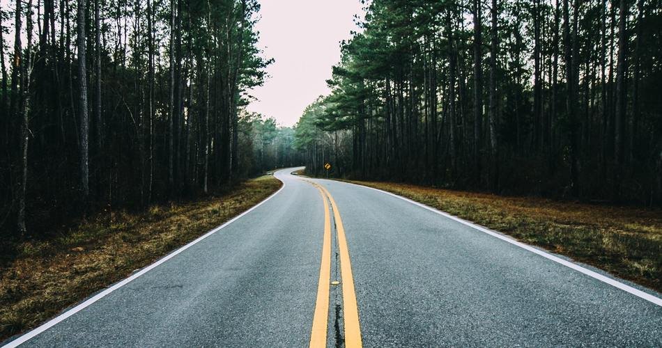 How to Use SVG Path for Styling Elements in Genesis